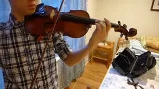 Mirrors (Violin Cover)