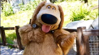 Interactive TALKING Dug Meet & Greet at Pixar Fest 2024 - Disney California Adventure, Disneyland