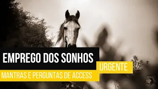 ✴Afirmações e Perguntas de Access Para Atrair o EMPREGO Dos Seus SONHOS