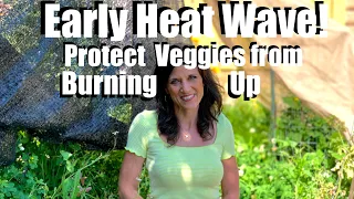 Early Heat Wave! 🌞 4 Tips to Protect Your Vegetable Garden From Burning Up in Hot Weather 🔥