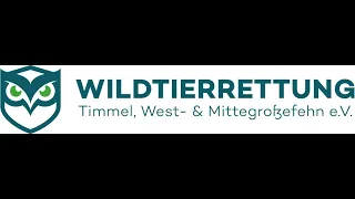 Wildtierrettung mit Drohne