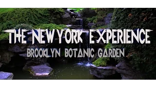 The New York Experience: Brooklyn Botanic Garden