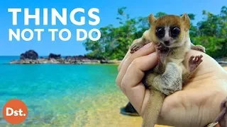 10 Things NOT to Do in Madagascar