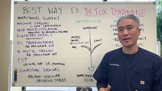 ULTIMATE Guide to DOPAMINE DETOX---Part III