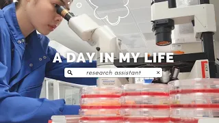 Day in the Life of a Research Assistant in Cambridge (weekend) | bacteria & stem cell culture 🧫