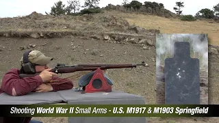 M1917 & M1903 Springfield