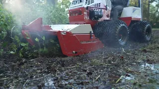 Mowing an Overgrown Florida Swamp