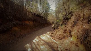 DESOLATE AND LONELY: EXPLORING THE HAUNTED ROADS OF ROUGH EDGE GEORGIA