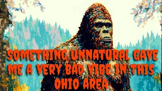 #bigfoot  Bad Vibes in This Ohio Forest Area