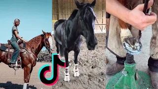 The Best HORSE TikTok Compilation 2022 #8