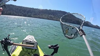 Kayak Fishing Lake Merwin and Yale Lake Kokanee