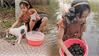 Poor girl: catching snails to exchange for food, cooking, living alone, rural life