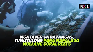 Mga diver sa Batangas, tumutulong para mapalago muli ang coral reefs | NXT