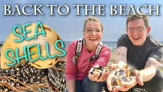 Sea Shell Paradise! 100,000 years of shell collecting!