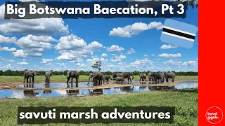 Big Botswana Baecation, Part 3: Savuti Marsh, Chobe National Park (Overlanding Botswana Self Drive)