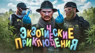 ЭКЗОТИЧЕСКИЕ ПРИКЛЮЧЕНИЯ: ФЕРМЕРЫ ВОССТАЛИ ПРОТИВ ВСЕЙ ГОСКИ на СЕРВЕРЕ в ГТА 5 РП / Majestic RP