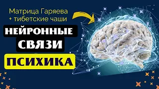 ИСЦЕЛЕНИЕ ПСИХИКИ (НЕРВЫ) ЗВУКОМ ТИБЕТСКИХ ЧАШ С ИСЦЕЛЯЮЩЕЙ МАТРИЦЕЙ ГАРЯЕВА