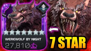 7 Star Werewolf By Night Gameplay - GOOD POTENTIAL, BUT HE NEEDS MORE! - Marvel Contest of Champions