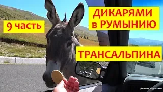 Дикарями в Румынию  / 9 часть / Трансальпина / Пещеры / Ночевка на реке