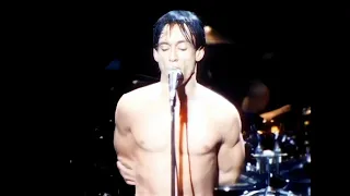 Iggy Pop - Lust for life (Live Utretch) 1986