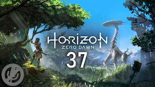 Horizon Zero Dawn Прохождение Без Комментариев На PS5 На 100% Часть 37 - Предел Мастера