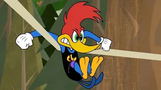 Woody y Wally compiten en el bosque | El Pájaro Loco