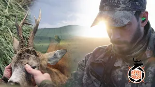 Hunting Dreams n°3: Romanian old roe buck stalking