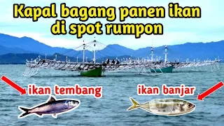 Kapal bagang panen ikan di rumpon, sekali tarik ikannya mendidih..!!!