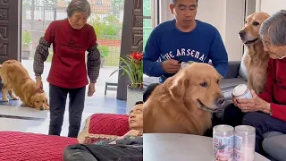 Grandma never thought in her life that she would have such a well-behaved dog to keep her company.