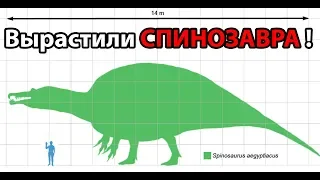 Вырастили СПИНОЗАВРА ! ( The Isle )