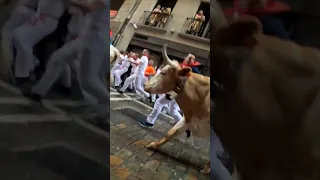 Bull Run 2023 Pamplona