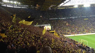 BVB - Werder 2015 Borussia Dortmund International