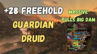 Guardian Druid M+ 28 Freehold | Fort Spiteful Volcanic | Only Massive Pulls Allowed