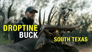 I shot a DROPTINE buck with my BOW!