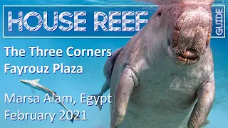 House Reef Guide | The Three Corners Fayrouz Plaza | Egypt - Marsa Alam | February 2021 | Snorkeling