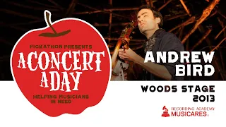 Andrew Bird- Watch A Concert A Day #WithMe #StayHome #Discover #Indie#Live #Music