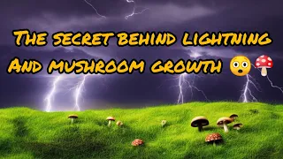 The Enigma of Lightning and The secret of Mushroom Growth 😲🍄