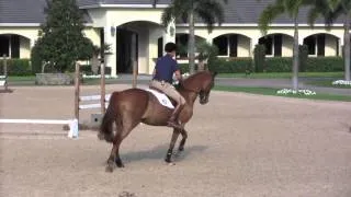 George Morris: Dressage For Jumpers