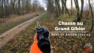 Chasse au Grand Gibier : Best Of Saison 2022-23