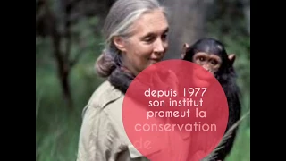 Jane Goodall : Portraits de femmes scientifiques célèbres