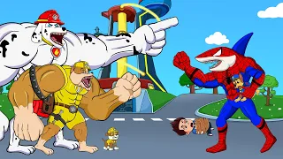 PAW Patrol Dino Rescue: Pups Save Ryder & Chase From Shark Spiderman | Paw Patrol Cartoon Movie
