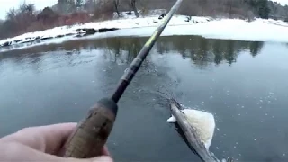 First Cast 2019 Maine Trout Fishing  Channel Opener!