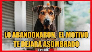 🐕‍🦺LO ABANDONARON ¿TÚ HUBIERAS HECHO LO MISMO? 😥#historias #historiastristes #historiasdedrama