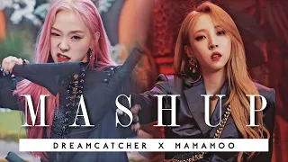 DREAMCATCHER & MAMAMOO - BOCA X AYA [MASHUP]