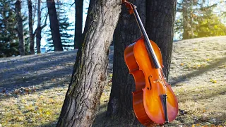 Beautiful Cello & Heavenly Piano Music 🍂 Calm Autumn Scenic Relaxation