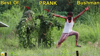 BEST OF Fainting Reactions! SCARE BUSHMAN PRANK FAILS OF 2024😆