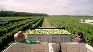 Food Inc. 2 | Sneak Peek