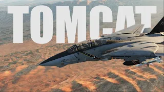 Erste F-14 TOMCAT Erfolge - DCS Deutsch - Persian Gulf