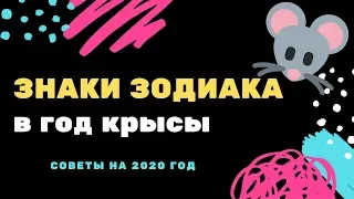 Знаки зодиака в год крысы советы на 2020 год