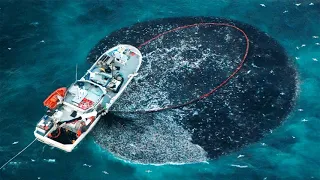 Amazing Giant Net Catch Hundreds Tons of Salmon Fish - Most Satisfying Sea Fishing Video